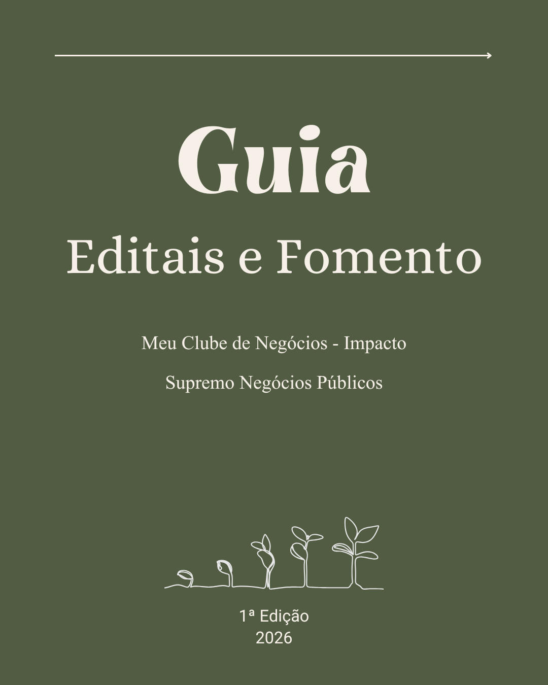 CAPA Guia Editais e Fomento 1ª Edição.png
