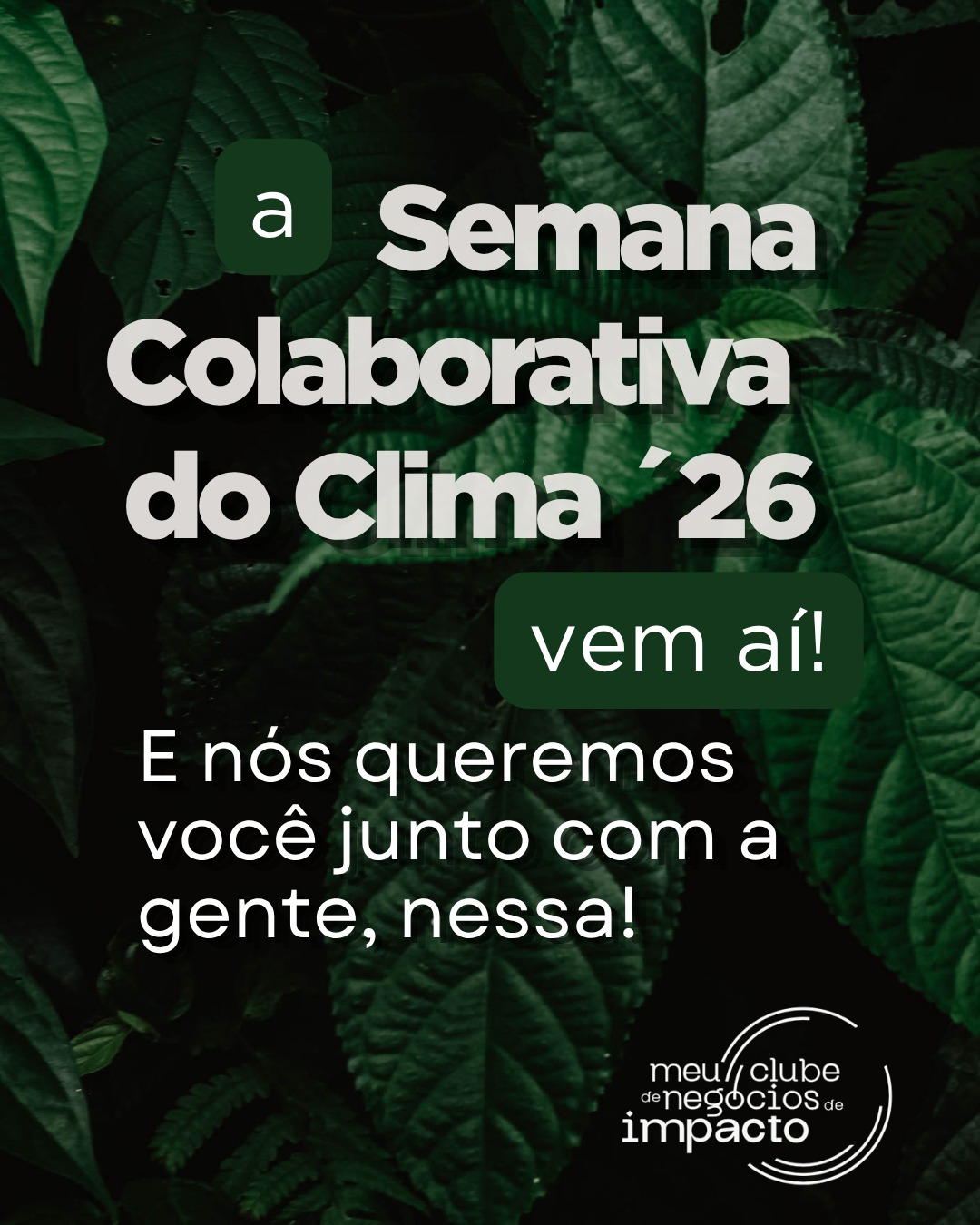Banner 2 baixa.jpeg