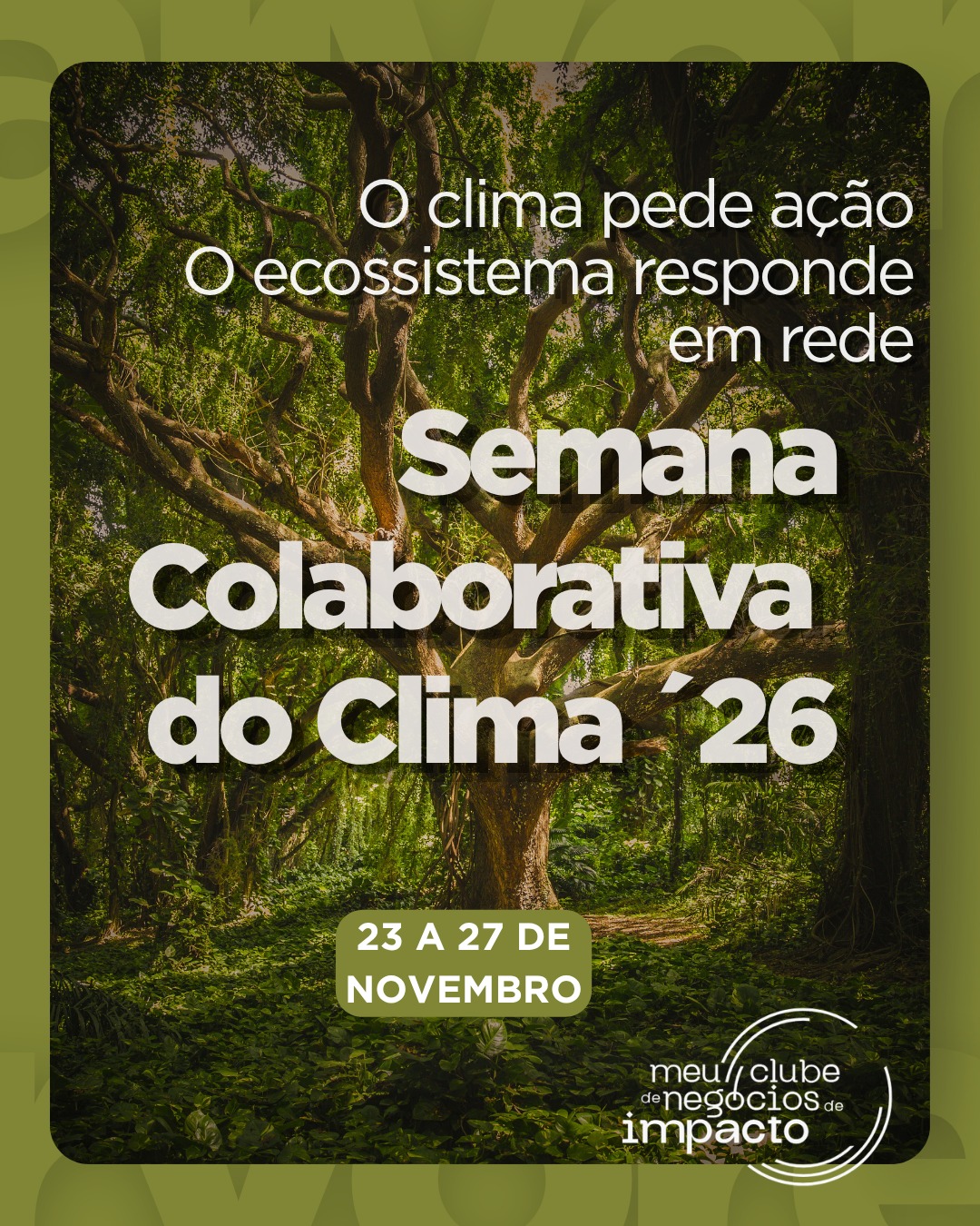 Banner 1 baixa.jpeg